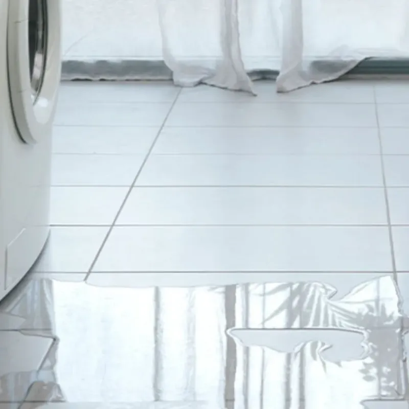 Appliance Leak Cleanup in Creve Coeur, IL