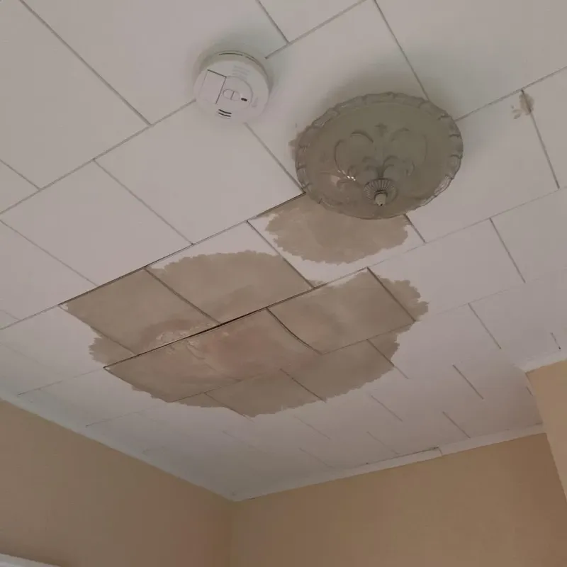 Ceiling Water Damage Repair in Creve Coeur, IL