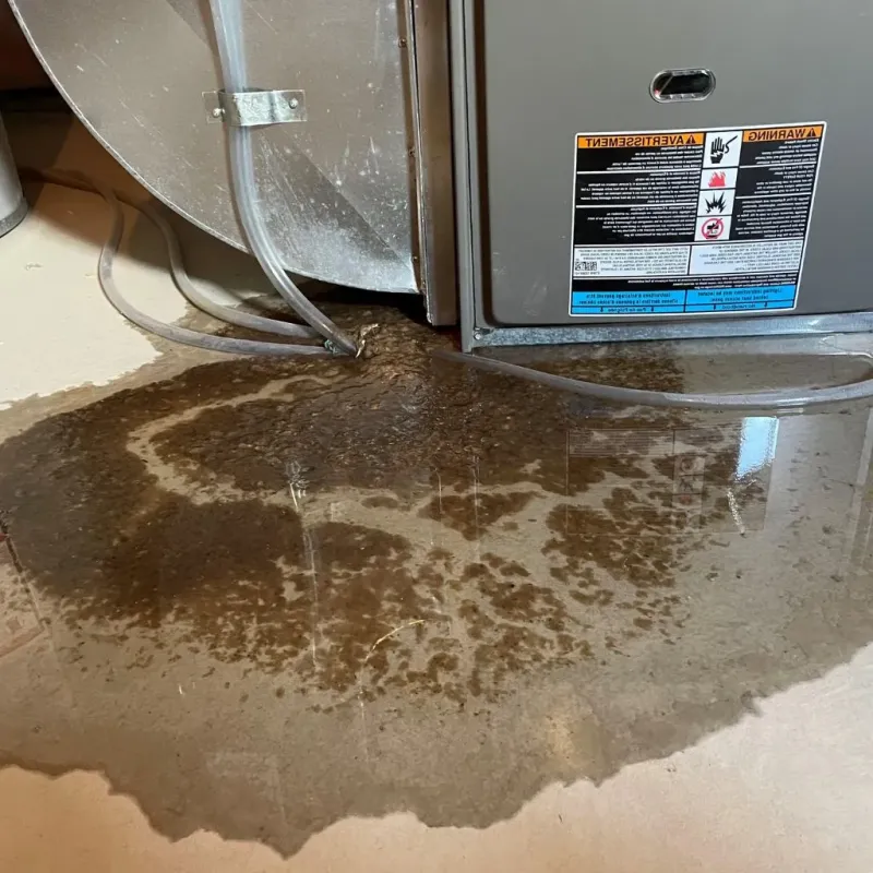 Pipe Burst and Leak Restoration in Creve Coeur, IL